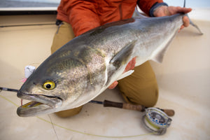 Spring Preview, 2025: Shinnecock & Peconic Bays