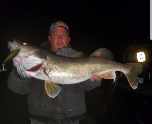 Long Island Walleye, Part II