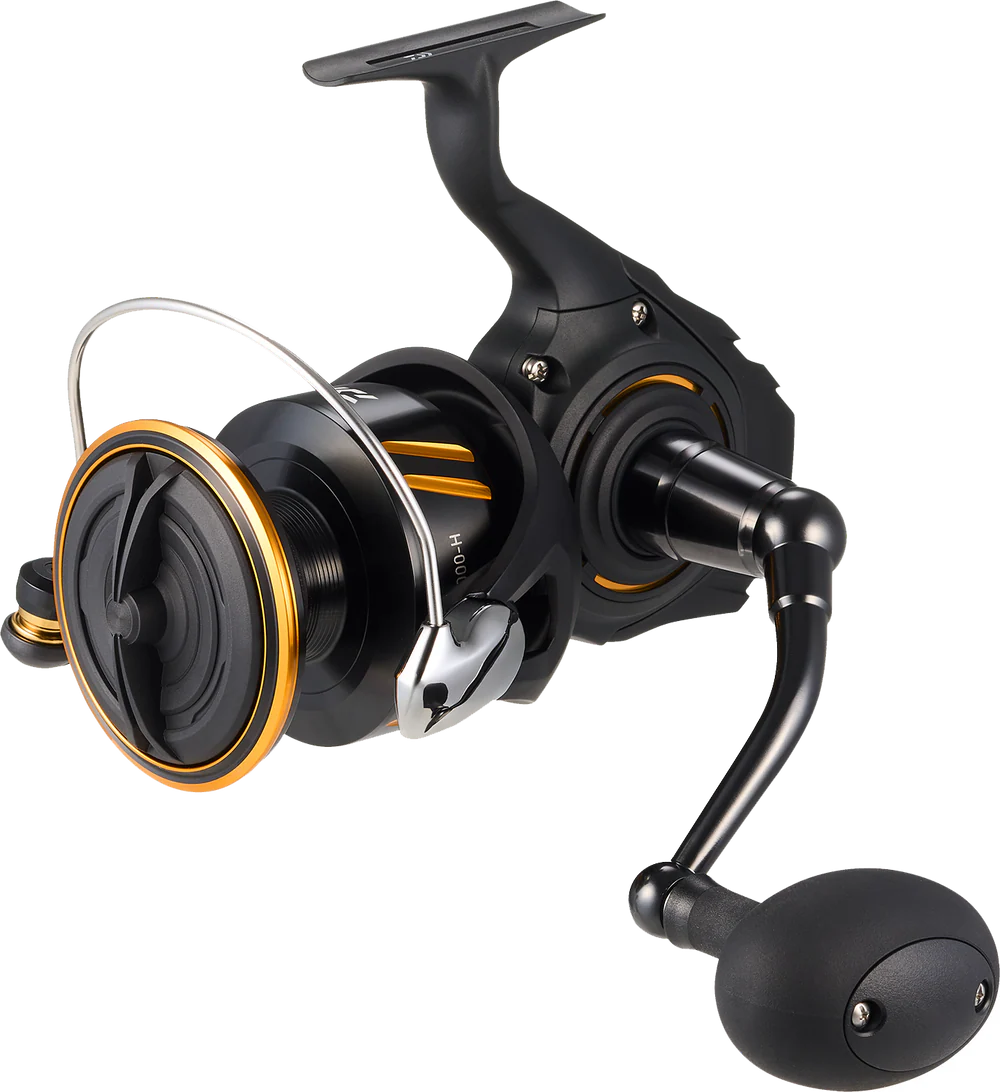 Daiwa BG SW Spinning Reels