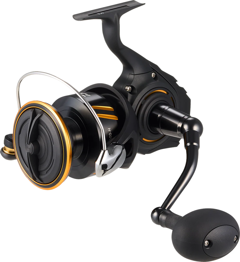 Daiwa BG SW Spinning Reels