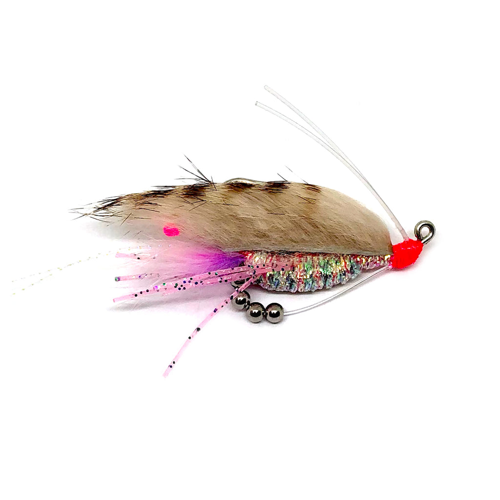 Buggs Click-Bait Shrimp Jigs