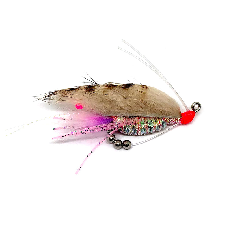 Buggs Click-Bait Shrimp Jigs