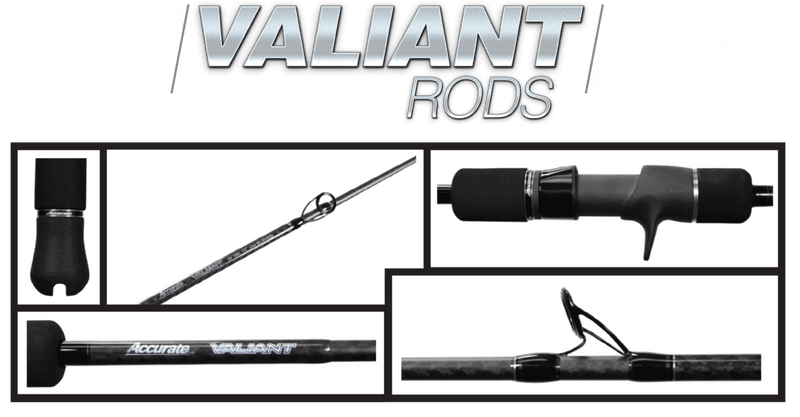 Accurate Valiant Conventional Rods – White Water Outfitters