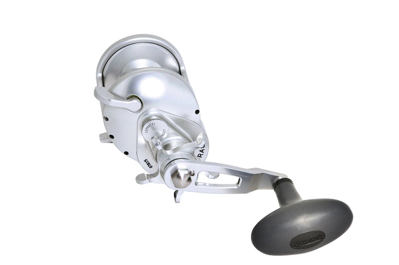 Accurate TXD-600XNL Tern 2 Star Drag Conventional Reel