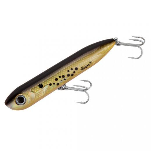 Heddon Chug'n Spook Saltwater Lures – White Water Outfitters