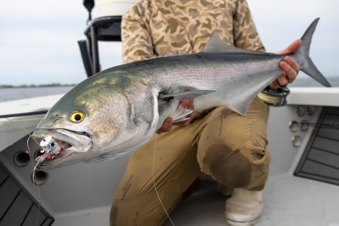 Picture Perfect Fishing Shots