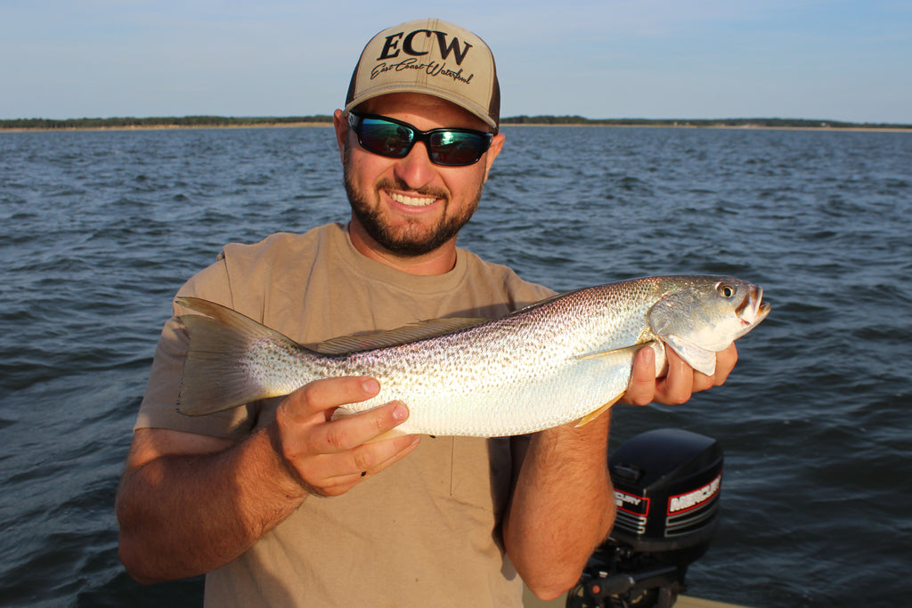 Welcome Back Peconic Bay Weaks