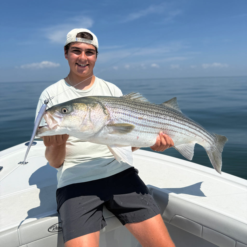 Choose The Right Jighead For Your Swimbait