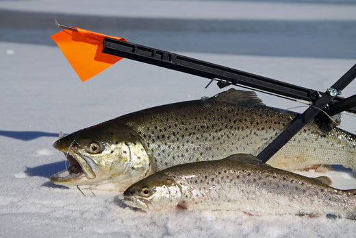 Head North for Ice Fishing Options: Part I