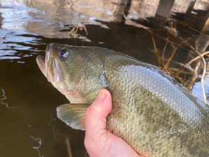 Enjoy Long Island's Holiday Season Sweetwater Bite