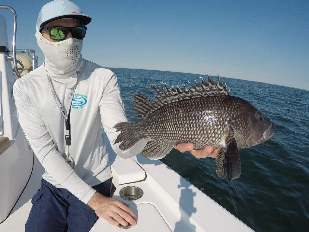 SUMMER SEA BASS – FEED 'EM A JIG! – White Water Outfitters