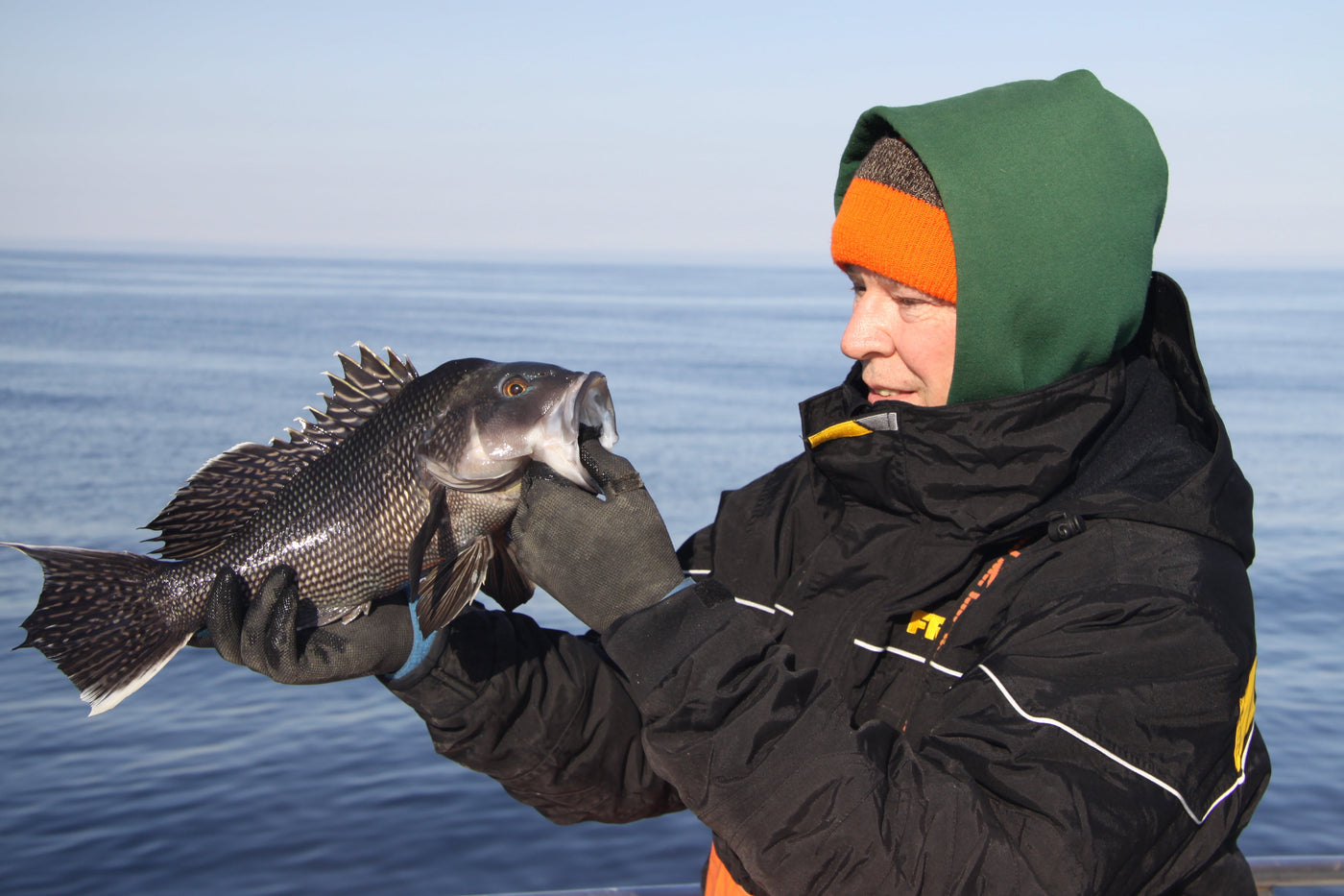 Fill Your Cooler On A Late Fall Wreck Trip