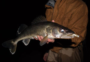 Long Island Walleye, Part I