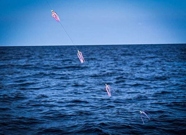 Magictail Bigeye Chain with Magic Ballyhoo
