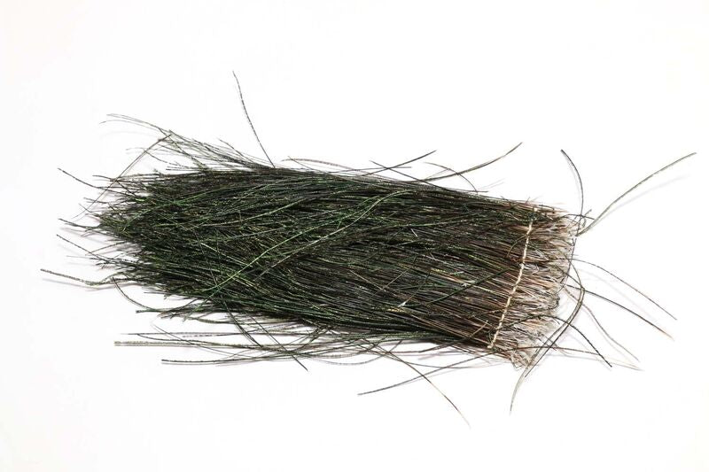 Strung Peacock Herl 8-10" Long