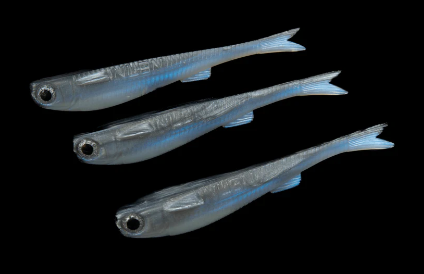 No Live Bait Needed Mullets