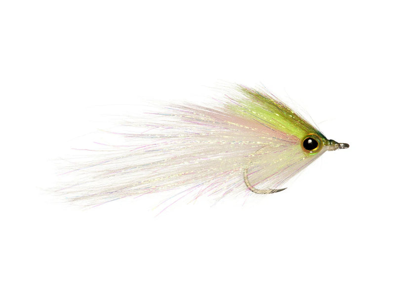 Rainy's Hamilton's Bush Pig Flies