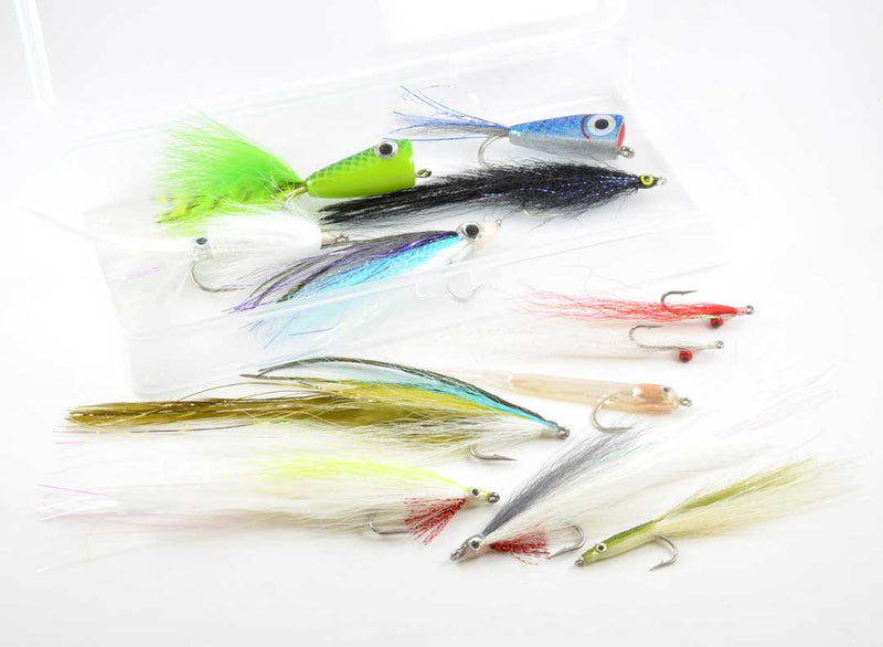 Rainy's Signature Bluefish/Striper Fly Assortment