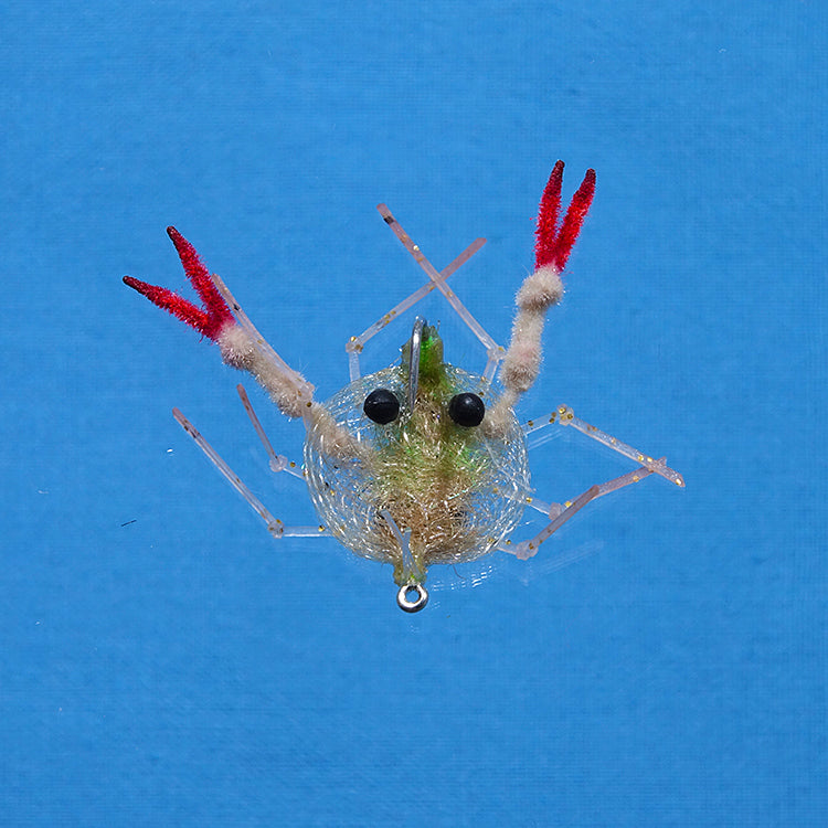 Enrico Puglisi Descendent Crab Fly