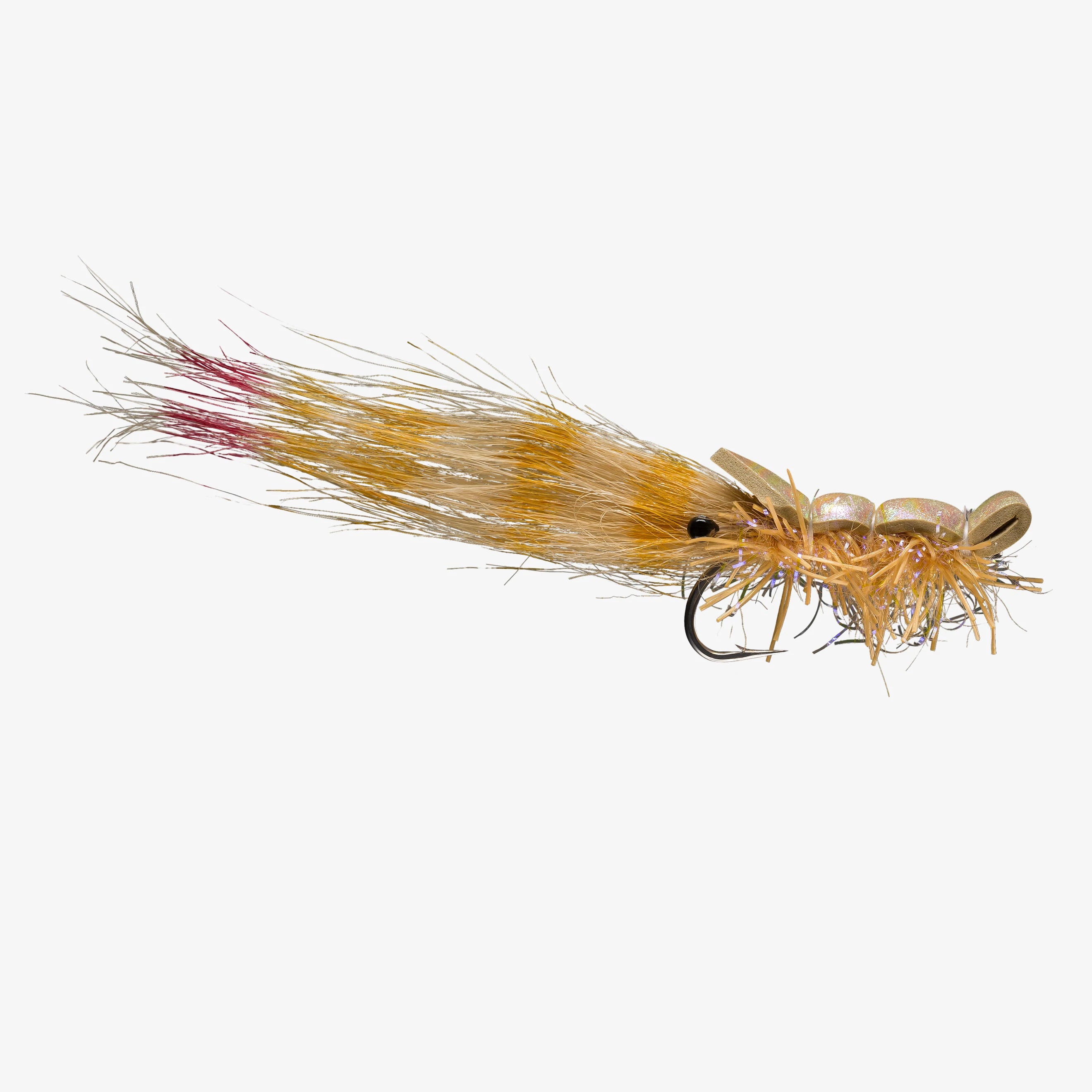 Rio Guido Shrimp - Thumbnail 4