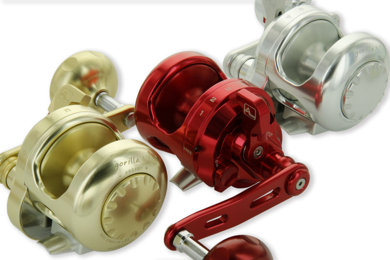 Accurate Tern2 Star Drag Conventional Reels
