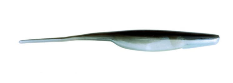 Bass Assassin Shad Assassin Soft Plastics – White Water Outfitters Bass Assassin Shad Assassin Soft Plastics – White Water Outfitters