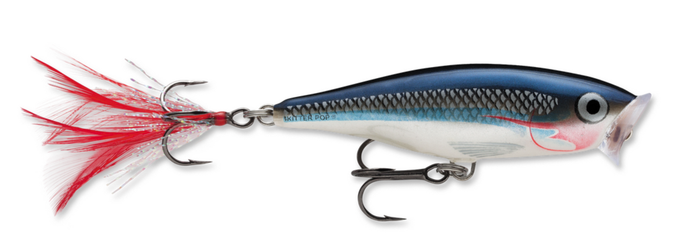 Rapala Skitter Pop Lures – White Water Outfitters