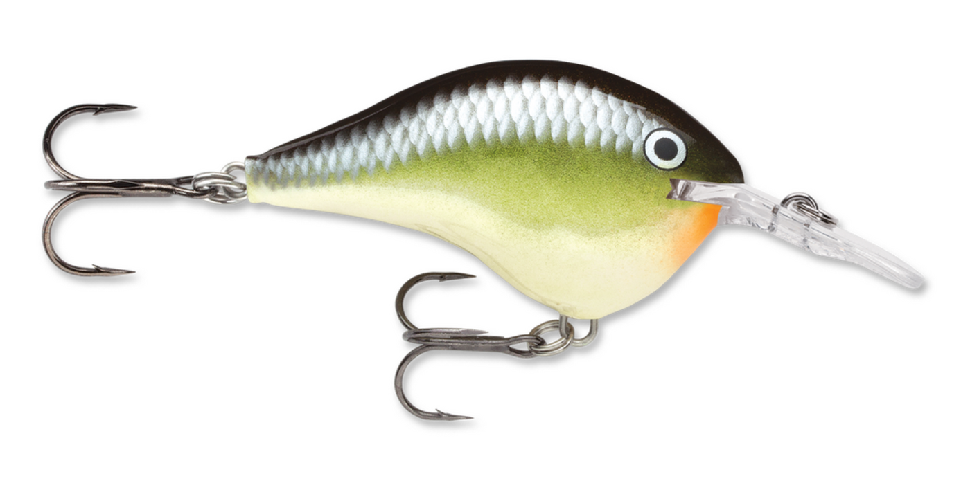 Rapala Dives-To DT Series Crankbait Lures – White Water Outfitters